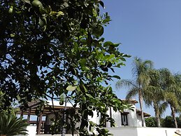 Agriturismo Terra dei Limoni