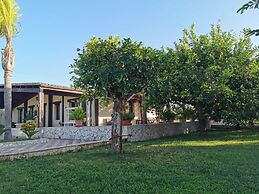 Agriturismo Terra dei Limoni