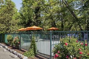 The Jack London Lodge