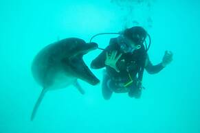 Renaissance Resort Okinawa