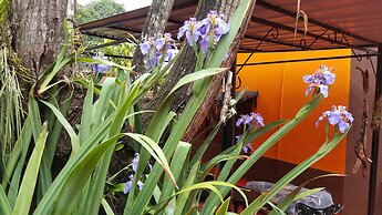 Terra Iguazú Apart Hotel