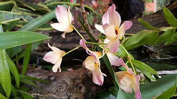 Terra Iguazú Apart Hotel