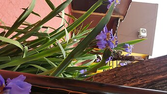 Terra Iguazú Apart Hotel