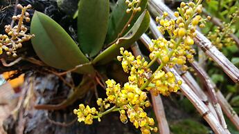 Terra Iguazú Apart Hotel