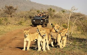 Thanda Safari