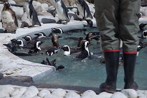 Aire del Mar Guest House