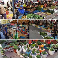 Jesselton Cabin - Hostel