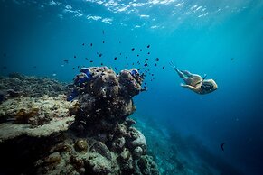 Ayada Maldives