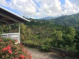 Neita's Nest - Jamaican Bed & Breakfast