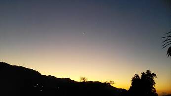 Neita's Nest - Jamaican Bed & Breakfast