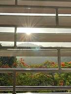 Neita's Nest - Jamaican Bed & Breakfast