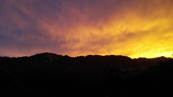 Neita's Nest - Jamaican Bed & Breakfast