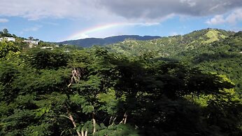 Neita's Nest - Jamaican Bed & Breakfast