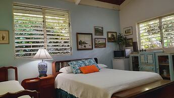 Neita's Nest - Jamaican Bed & Breakfast