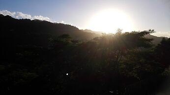 Neita's Nest - Jamaican Bed & Breakfast