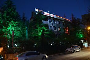 Ankara Hotel Pino