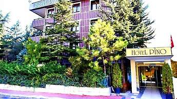 Ankara Hotel Pino