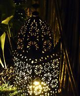 Butterfly House Bahia