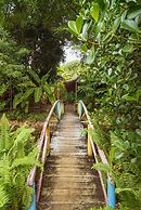 Butterfly House Bahia