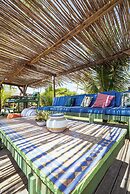 Butterfly House Bahia