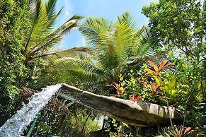 Butterfly House Bahia