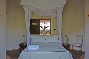 Butterfly House Bahia