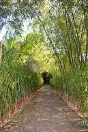 Butterfly House Bahia