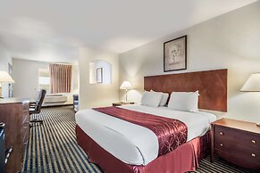 Americas Best Value Inn New Braunfels San Antonio