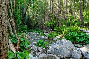 Yosemite Lakes RV Resort