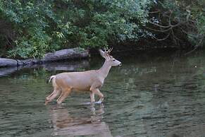 Yosemite Lakes RV Resort