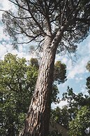Les Lodges Sainte-Victoire Hotel & Spa