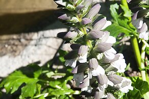 Murat Paşa Konağı Boutique Hotel