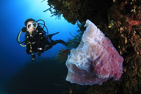 Villas El Encanto Cozumel