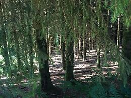 Le 'Ti 'Bou de Refuge