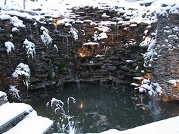Le 'Ti 'Bou de Refuge