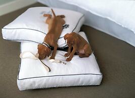 The Westin Wilmington