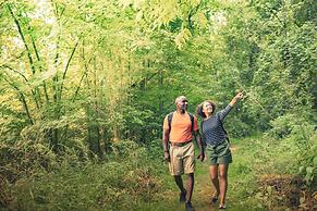 Sun Retreats Gun Lake