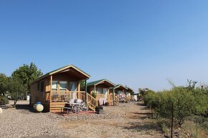 Verde Valley RV & Camping Resort, a Thousand Trails Property