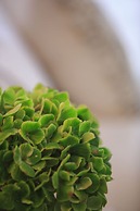 Renaissance Denver Downtown City Center Hotel