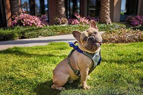Residence Inn by Marriott Los Angeles Redondo Beach