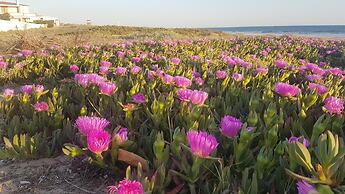 Hostal Patio Andaluz