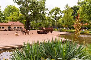 DoubleTree by Hilton Hotel Amsterdam - NDSM Wharf