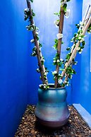 Amenity Apartel Samui