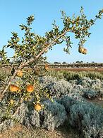 Naturalis Bio Resort & Spa