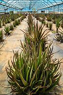 Naturalis Bio Resort & Spa