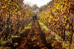 Naturalis Bio Resort & Spa