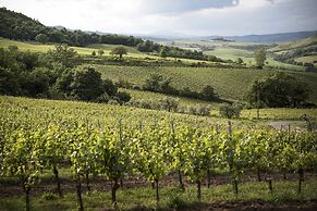 Altarocca Wine Resort Adults Only