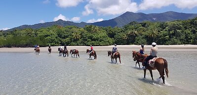 Cape Tribulation Beach House