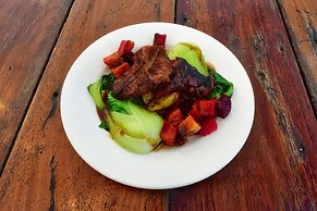 Cape Tribulation Beach House