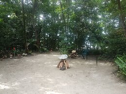 Cape Tribulation Beach House